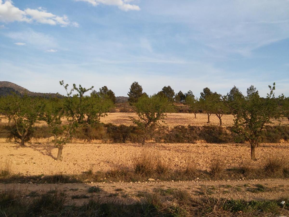 Casa Rural El Carmen De La Sierra Yecla Kültér fotó