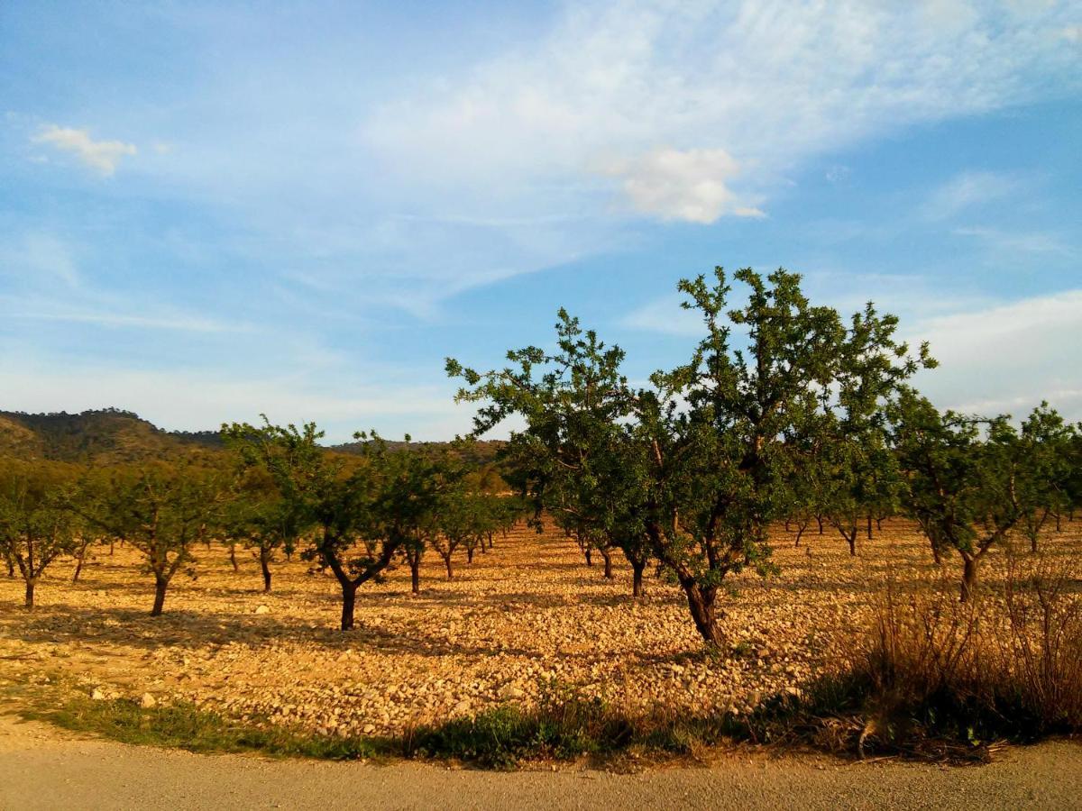 Casa Rural El Carmen De La Sierra Yecla Kültér fotó